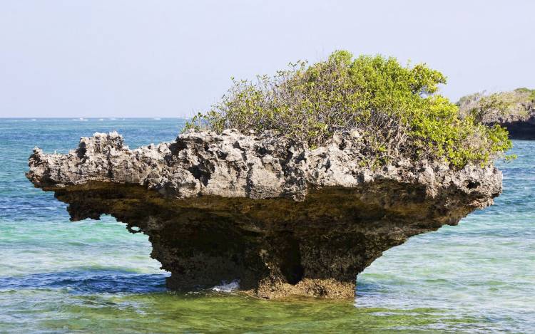 Chale Island Beach