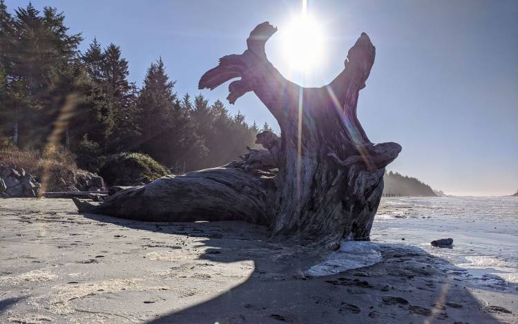 Chesterman Beach - Canada