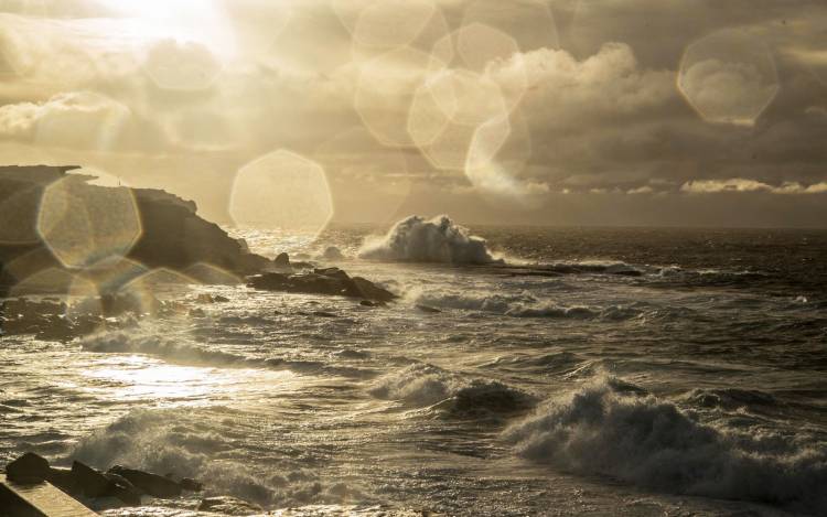 Clovelly Beach - Australia