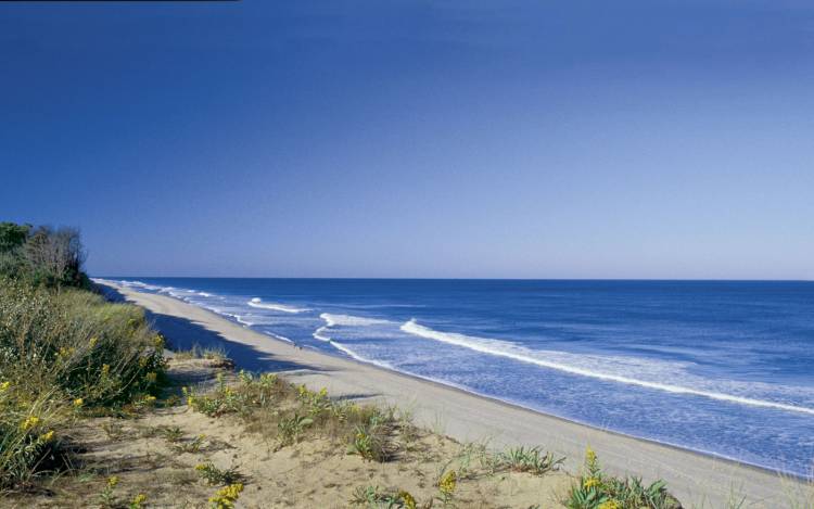 Coast Guard Beach - USA