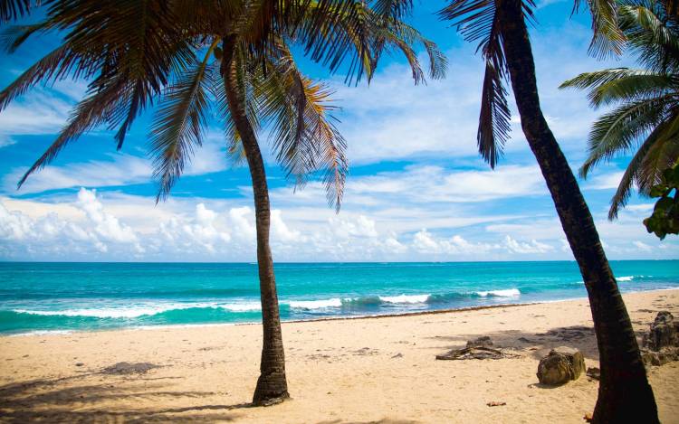 Condado Beach - USA