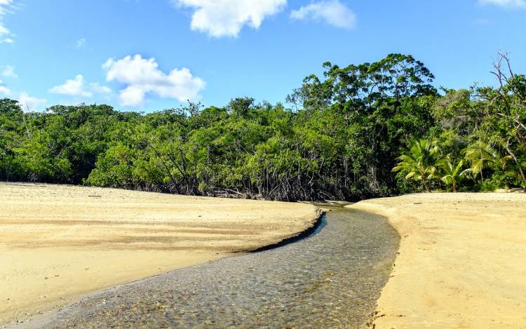 Cow Bay