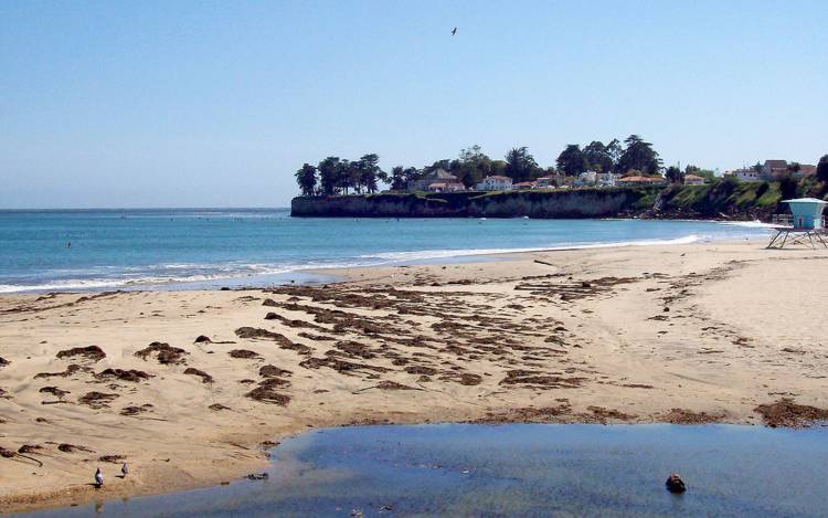 Cowell Beach