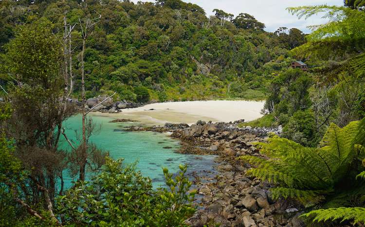 Dead Man Beach - New Zealand