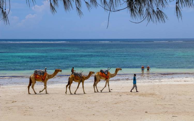 Diani Beach - Kenya