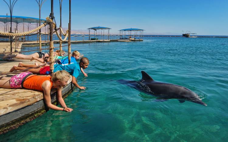Dolphin Reef Beach - Israel