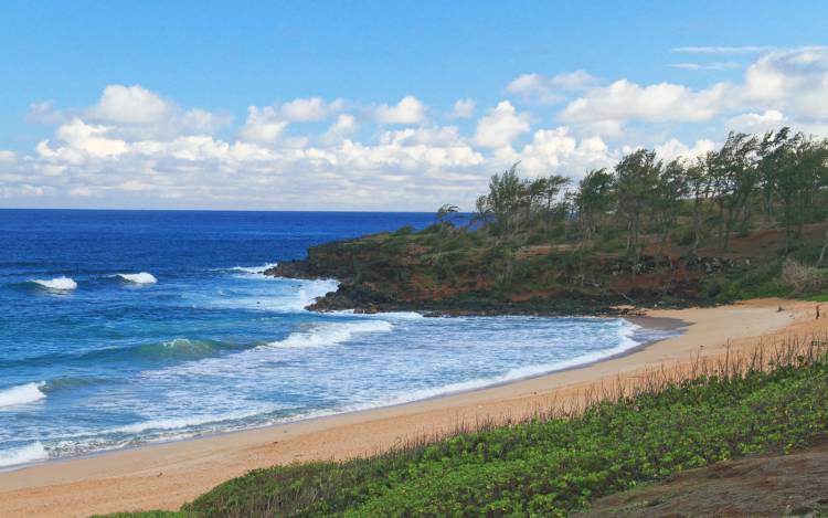 Donkey Beach - USA