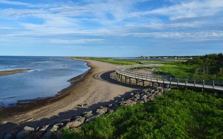 Dune de Bouctouche