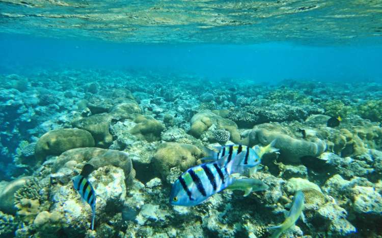 Coral Beach - Israel