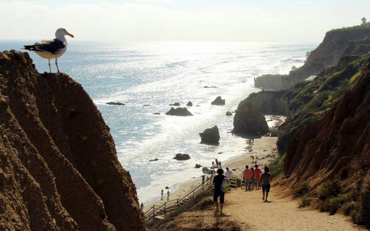 El Matador State Beach - USA