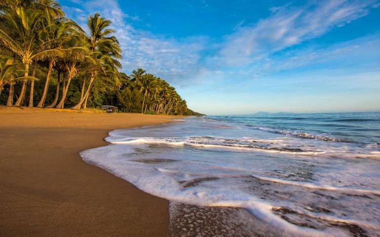 Ellis Beach