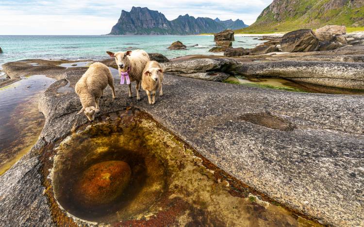 Uttakleiv Beach - Norway