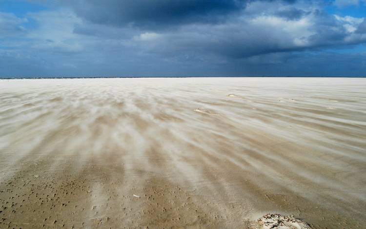 Fanø Island Beach - Denmark