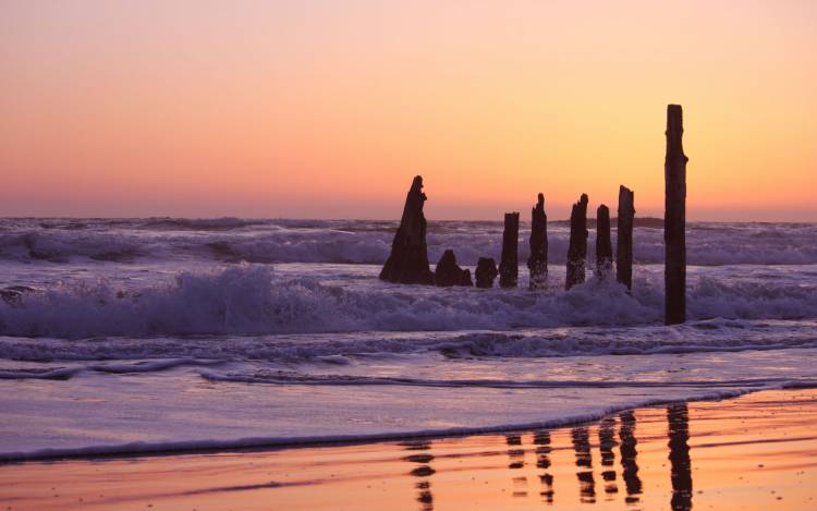 Fort Funston Beach - USA