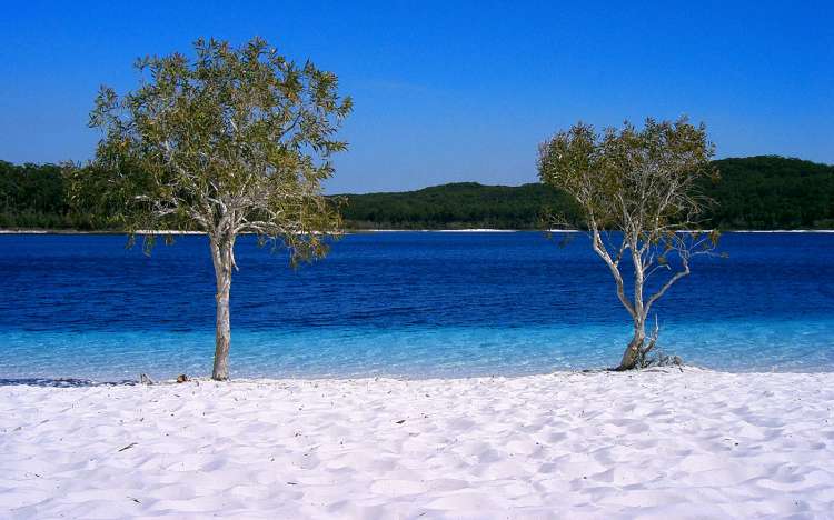 Fraser Island