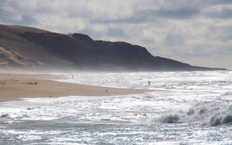 Guadalupe-Nipomo Dunes National Wildlife Refuge Beach - USA