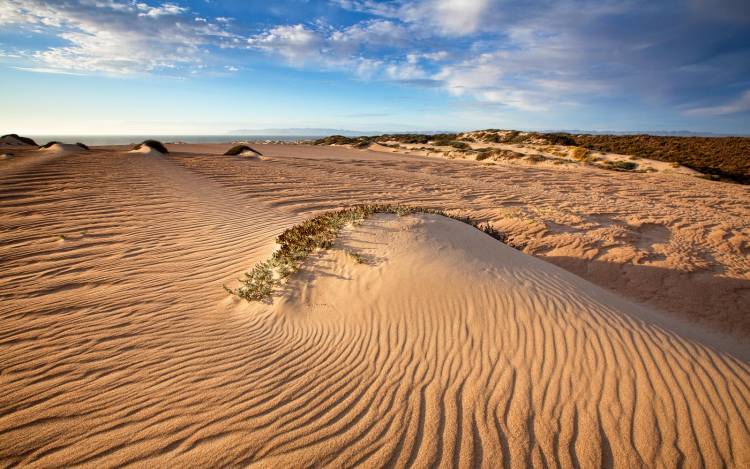 Guadalupe-Nipomo Dunes National Wildlife Refuge Beach - USA