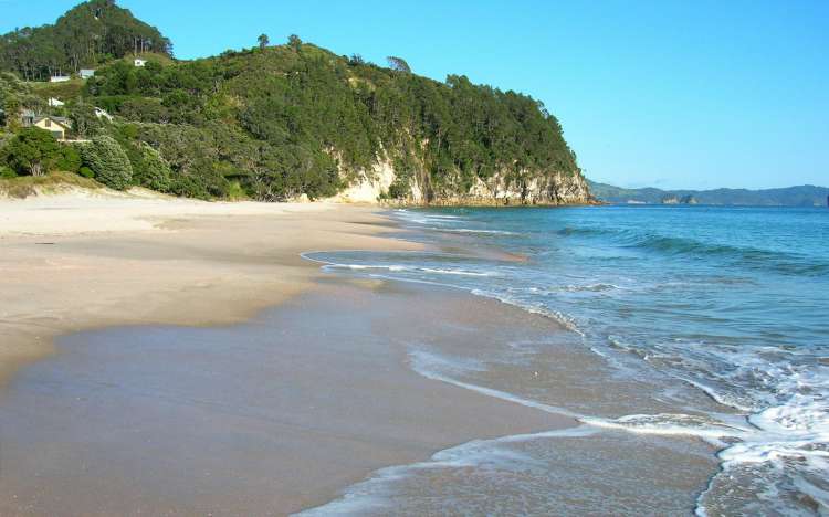 Hahei Beach - New Zealand