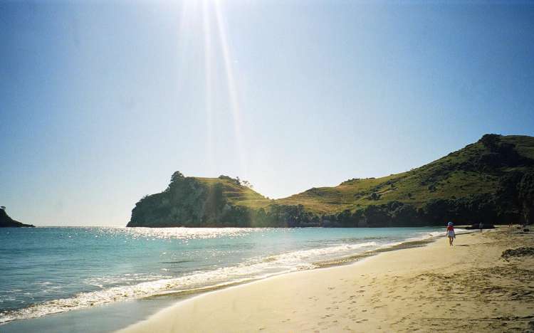 Hahei Beach