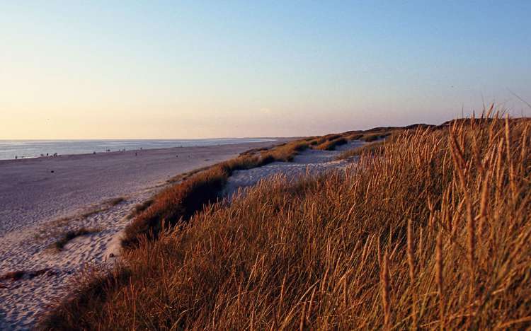 Henne Strand - Denmark