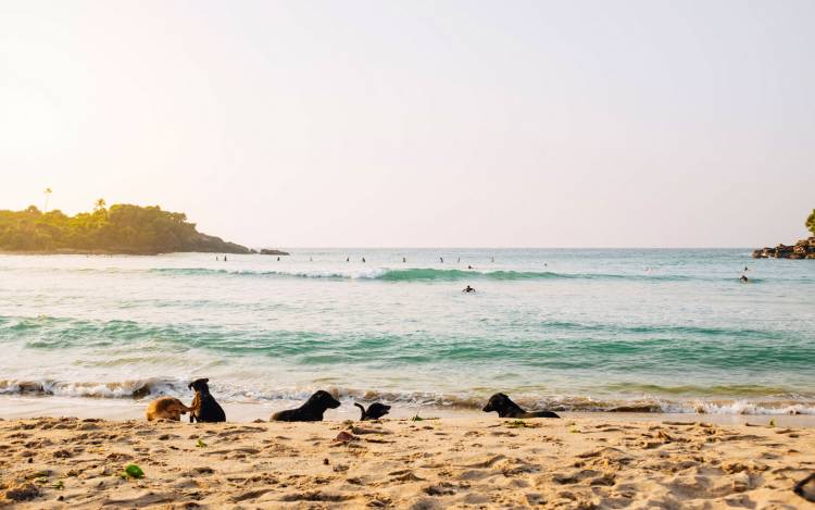 Hiriketiya Beach - Sri Lanka