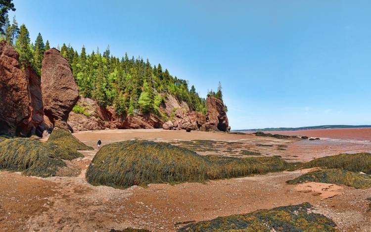 Hopewell Rocks Beach - Canada