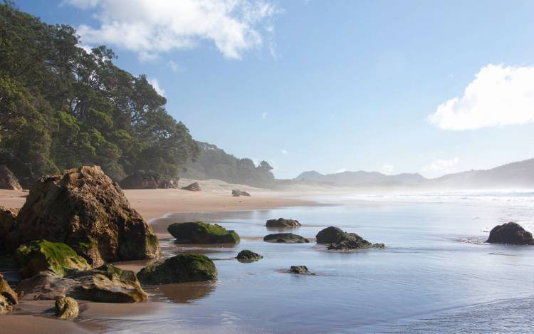 Hot Water Beach - New Zealand