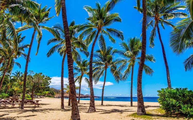 Hulopo'e Bay Beach