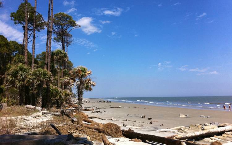 Hunting Island Beach - USA