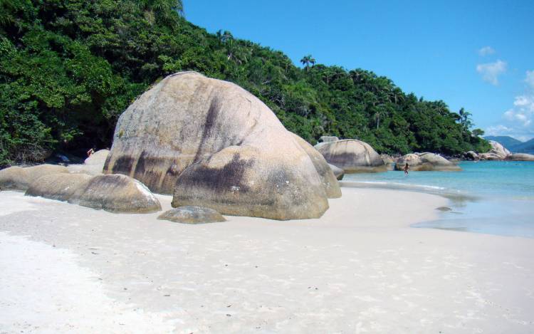 Praia Ilha do Campeche - Brazil