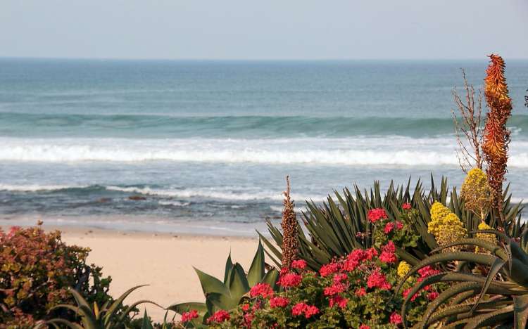 Jeffreys Bay - South Africa