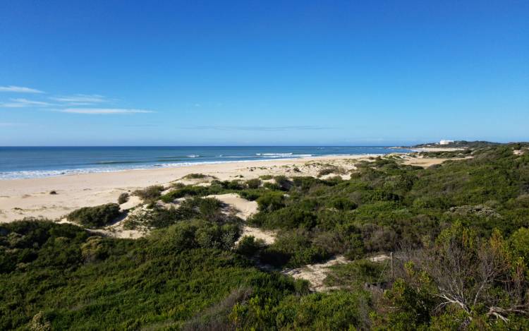 Jeffreys Bay - South Africa