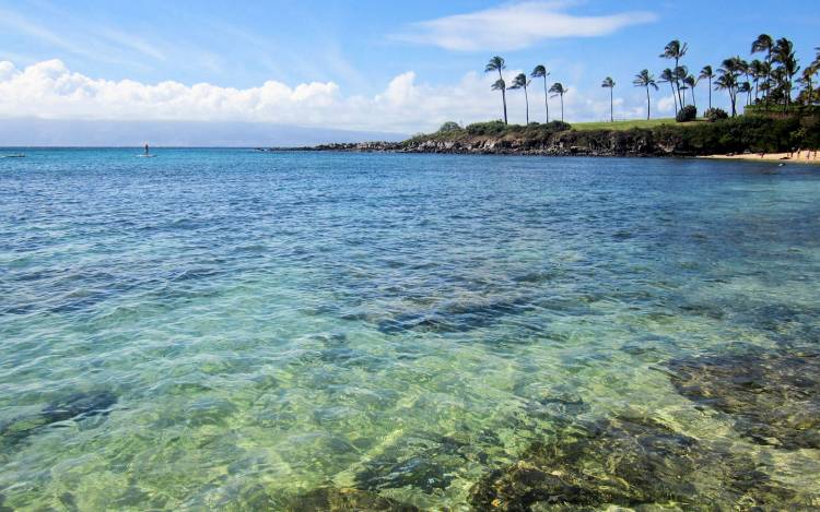 Kapalua Beach - USA