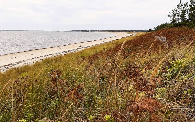 Plage de Kerler - France