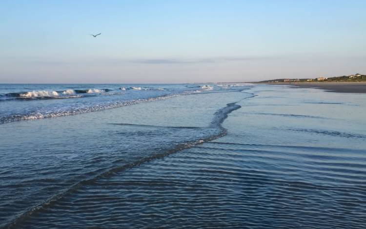 Kiawah Beachwalker Park - USA