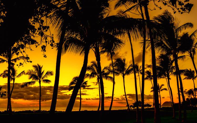 Ko Olina Beach - USA