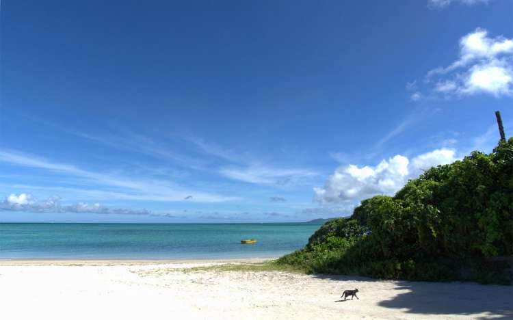 Kondoi Beach - Japan