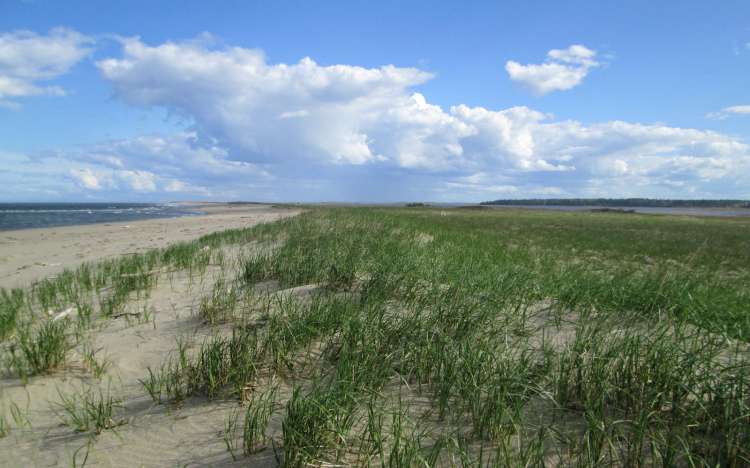 North Kouchibouguac Dune Beach - Canada