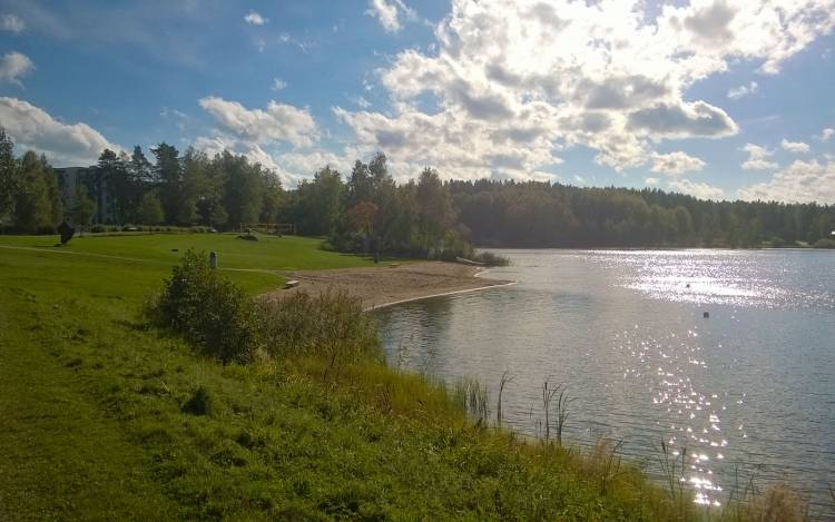 Kurikanvainion puimaranta