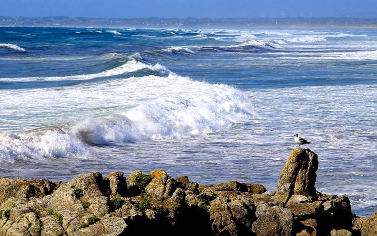 Plage de la Torche - France