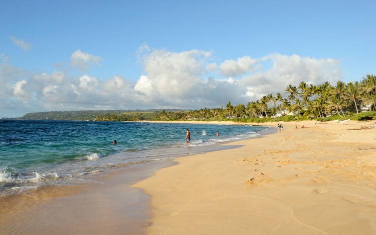 Laniakea Beach
