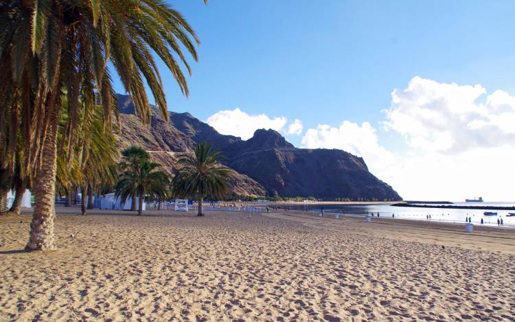 Opsommen Vrijlating echo Las Teresitas Beach / Tenerife / Canary Islands // World Beach Guide