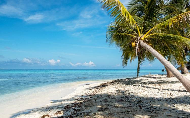 Laughing Bird Caye Beach - Belize