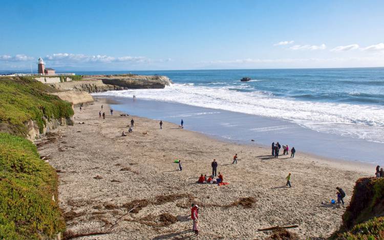 Lighthouse Field State Beach