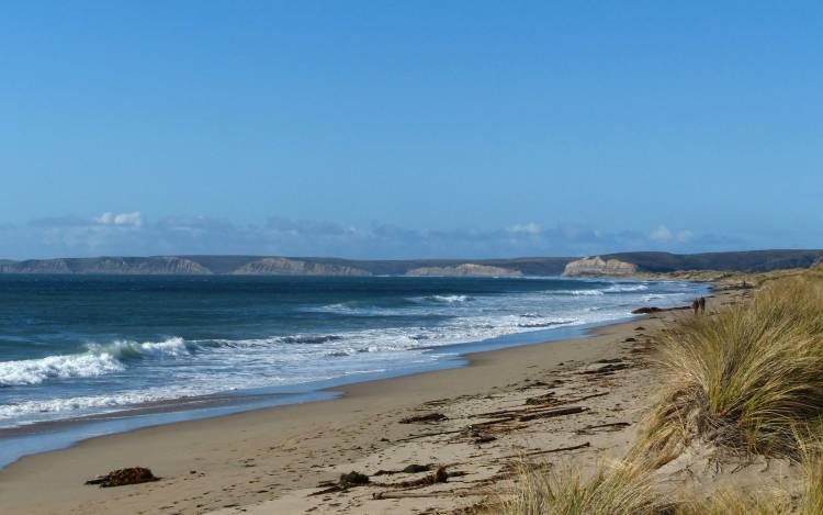 Limantour Beach - USA