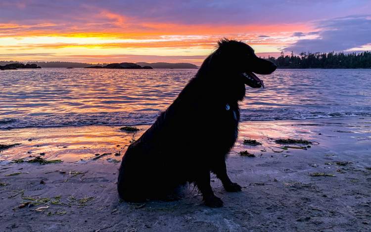 MacKenzie Beach - Canada