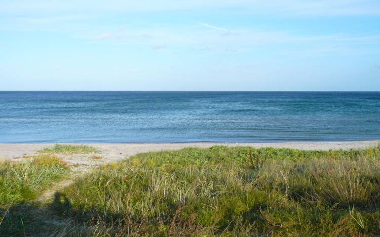 Marielyst strand - Denmark