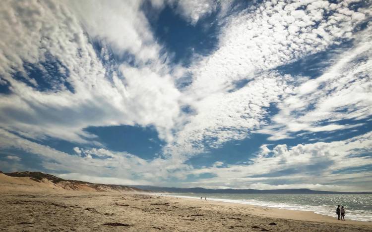 Marina State Beach - USA