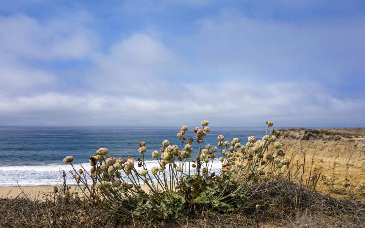 Martins Beach - USA