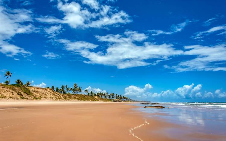 Two alluring women are relaxing on the nudist beach